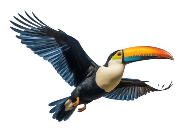 Flying Bird