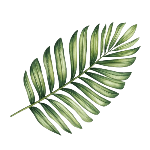 leaf